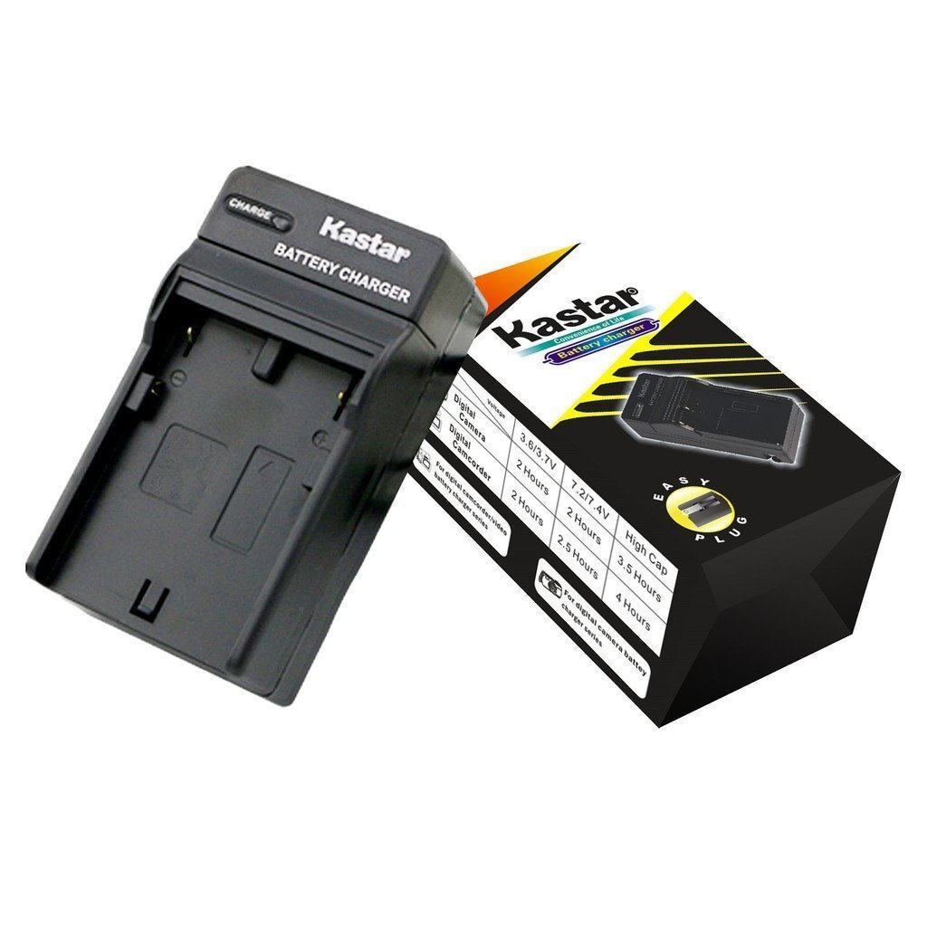 NB-2L Battery Regular Charger for Canon Elura 40, Elura 50,Elura 60,Elura  65