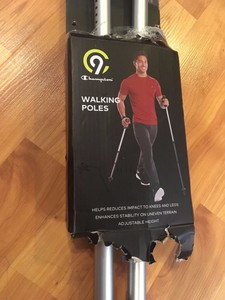 champion walking pole