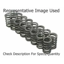 Manley 22410-16 Valve Spring Set 1.250 Inch Outside Diameter