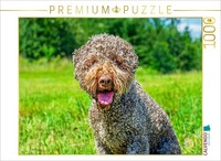 Calvendo Puzzle Portrait Of A Female Dog | 1000 Pieces, Finished Size 25.2 × 18.