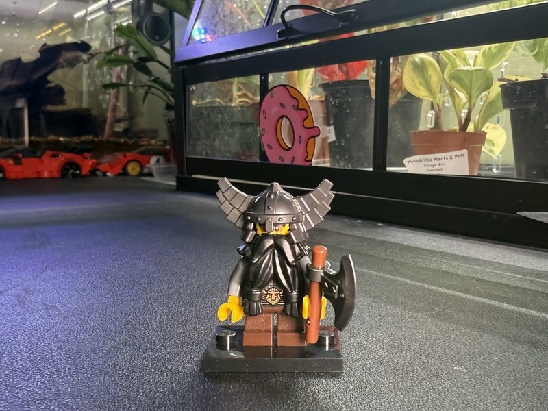 LEGO Evil Dwarf Series 5 Collectible Minifigure CMF 8805 COL068 [Complete]