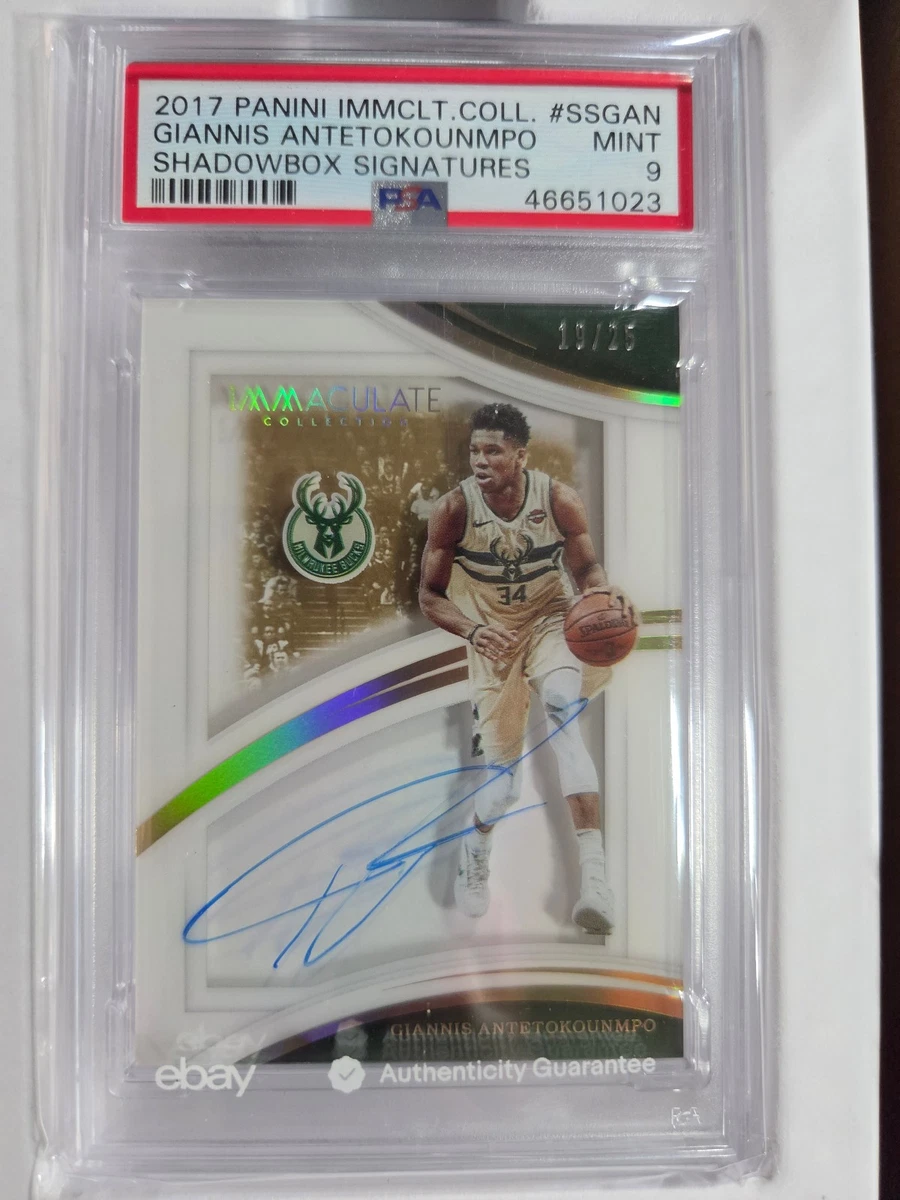 National Basketball Association (NBA) Giannis Antetokounmpo