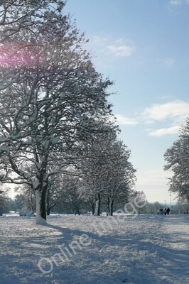 Foto 6x4 Prospect Park Reading Donnerstagmorgen, nach dem schwersten Schnee c2010