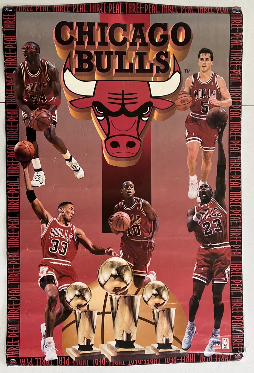 Michael Jordan Original Vintage Sports Posters for sale | eBay