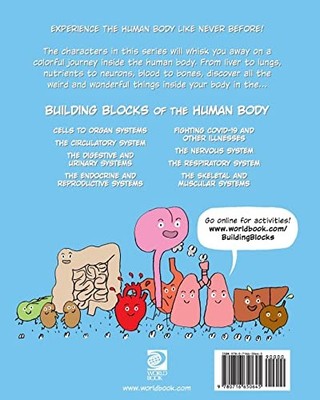 Joseph Midthun Cells to Organ Systems (Taschenbuch)
