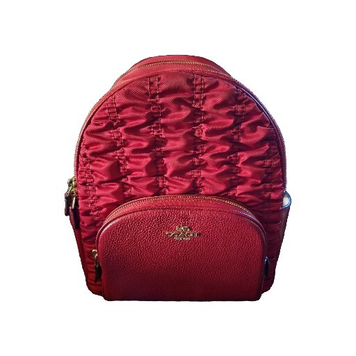 coach backpack leather - image 1