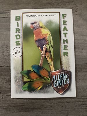 2021 Topps Allen & Ginter Rainbow Lorikeet Birds Of A Feather Card # BOF-10