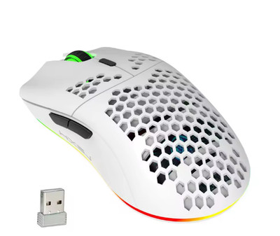 HXSJ T66 Wireless Gaming Maus 2.4G Lightweight Honeycomb Shell RGB Mäuse - Weiß
