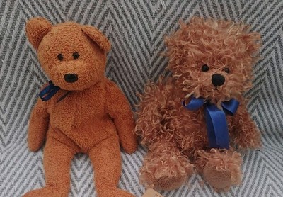 Konvolut Kind kleine Stofftiere zwei Teddybären Fuzz und Sue Ryder Care