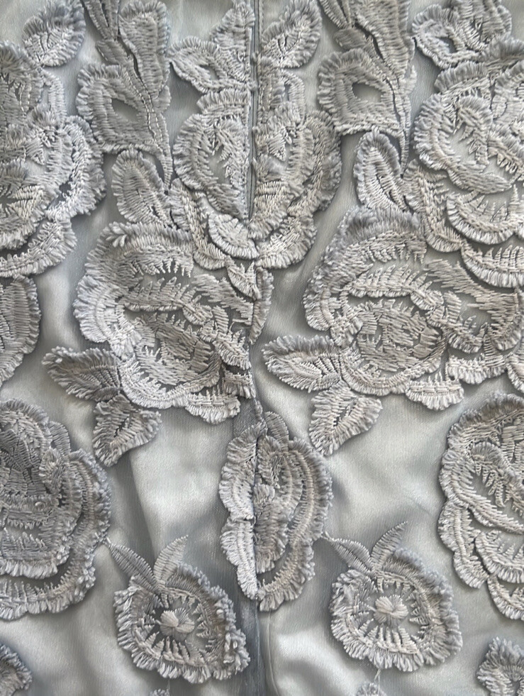 reiss meghan floral lace dress Beige Lace Trim Printed Mesh High Neck Midi Dress main image 0