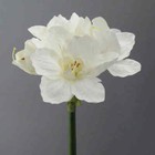 Kunstblume AMARYLLIS ca. 66cm. Künstliche Amarillis 1 Stängel 4 Blüten WEISS