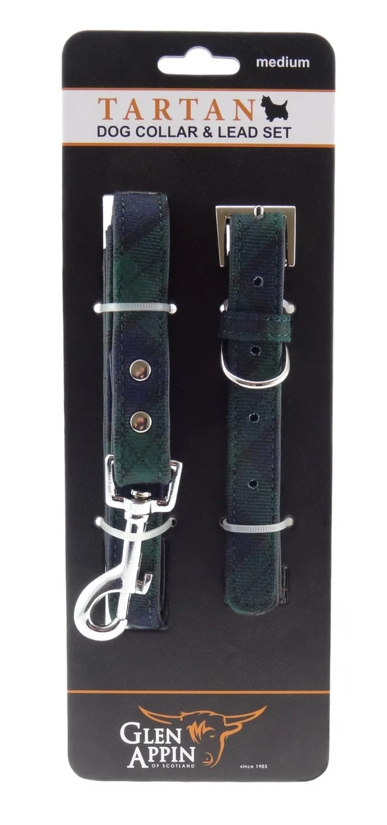 Black Watch Tartan Dog Lead and Collar Large Lab Springer