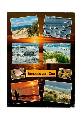 AK Ansichtskarte Renesse aan Zee / Niederlande