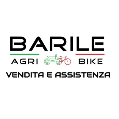 IMPUGNATURA MANICO MOTOSEGA Alpina Castor P34 PR350 (SENZA SERBATOIO) EUR 30,00 - IT - Foto 8