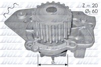 Dolz T136 Wasserpumpe FüR CitroËN Peugeot Talbot