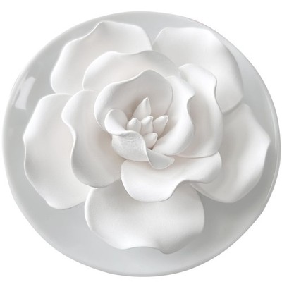 Passive Diffuser for Essential Oil-Ceramic Diffuser Non Electric Oil Diffuser...