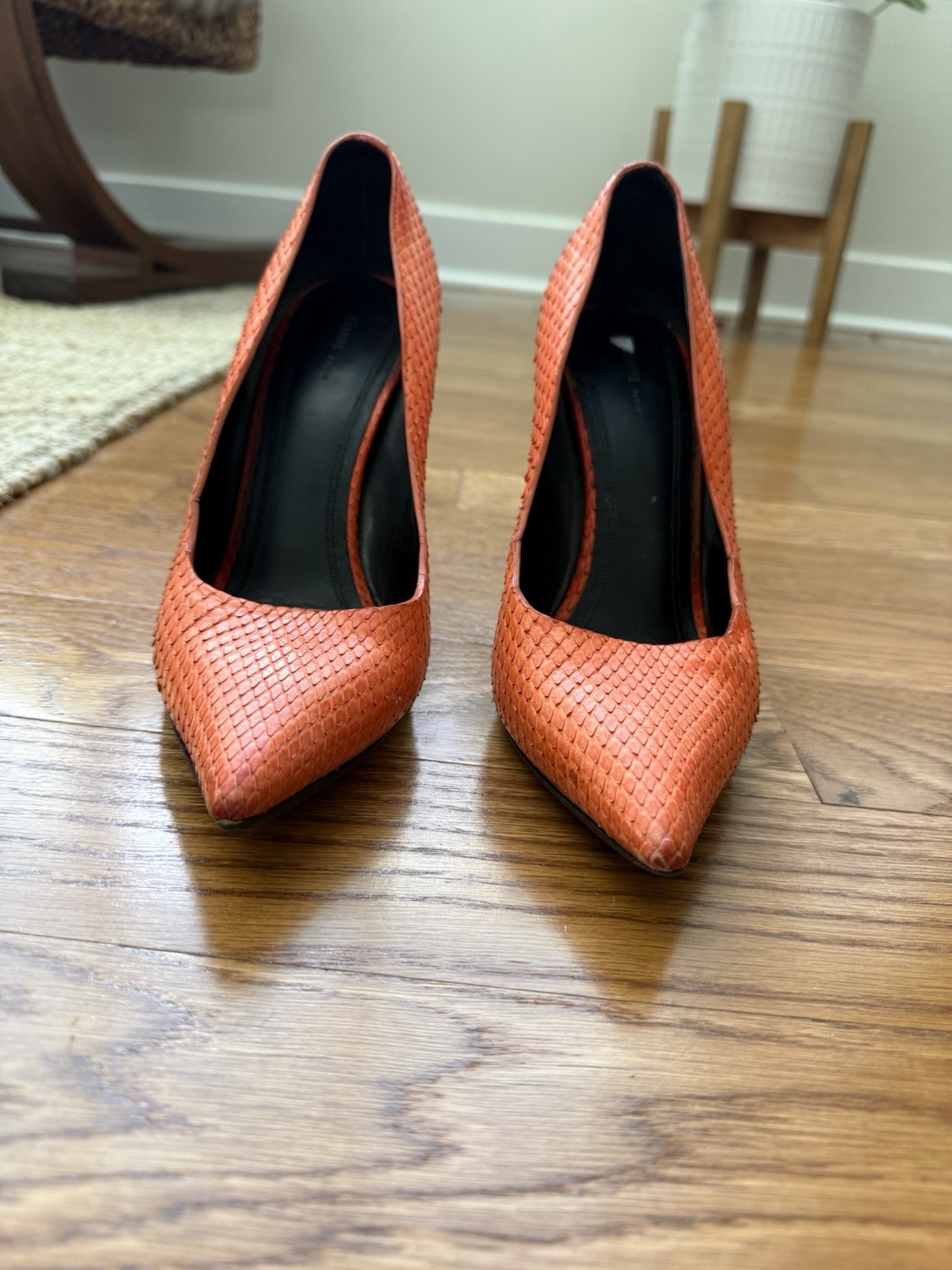 CÉLINE – Python Leather Pointed-Toe Pumps (Phoebe… - image 2