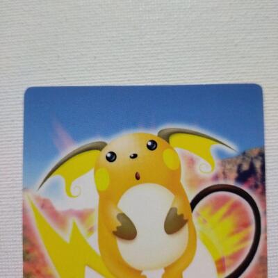 ZUKAN Carddass NINTENDO Raichu 660592 Pokemon Card Japanese | eBay