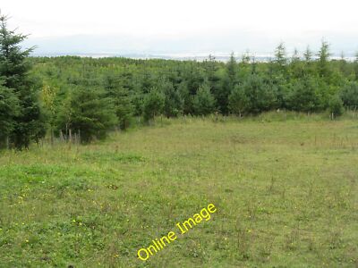 Photo 12x8 Young forestry at Standrigg California/NS9076 From Google Eart c2012