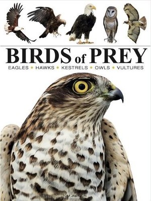 Tom Jackson Birds of Prey (Taschenbuch) Mini Encyclopedias (US IMPORT)