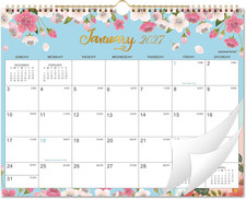 2027 Calendar - 2027 Wall Calendar, JAN 2027 - Dec 2027, 17" X 12"