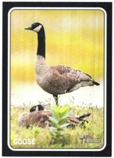 2024 Topps Heritage RICH 