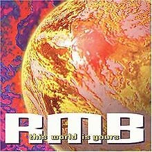 This World Is Yours von Rmb | CD | Zustand sehr gut