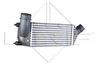 NRF 30242 Intercooler, Lader FüR CitroËN, Peugeot