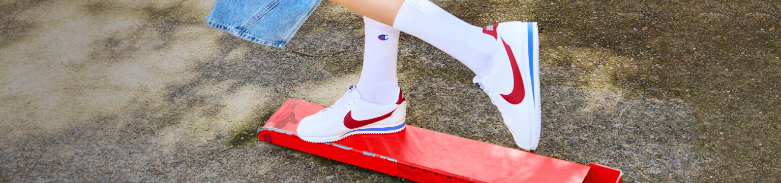 Nike SB