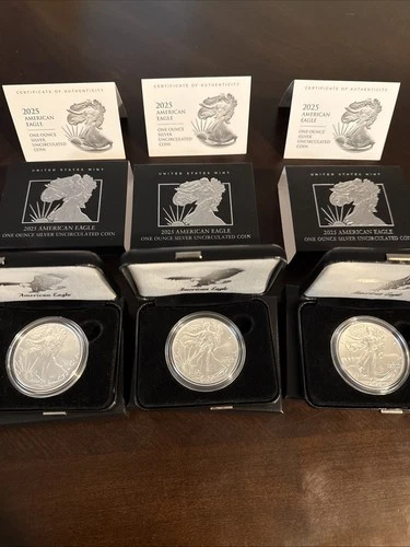 2025 W Burnished American Silver Eagle 25EG Unc Coin Box And Cert