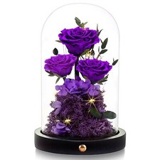 Flowers Roses Gifts for Women,Forever Preserved Roses in Glass Dome, Annivers...