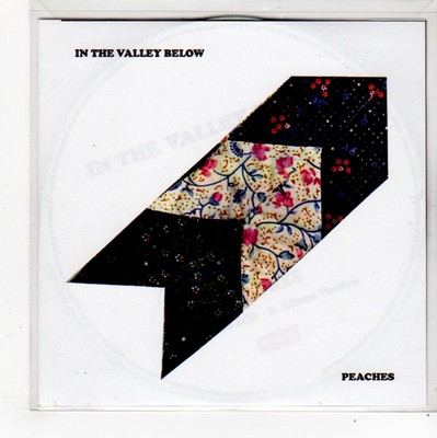 (FO364) In The Valley Below, Peaches - 2014 DJ CD