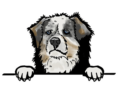 Australian Shepherd Dog Sticker Adopt Cute Dog Puppy Peeking (4 Inch)