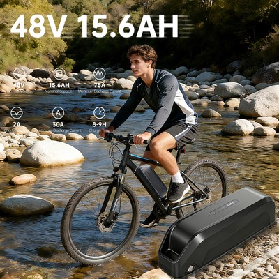 36V 48V 20Ah 15Ah E-bike Akku Lithium Pedelec Fahrrad Batterie for Bafang Motor