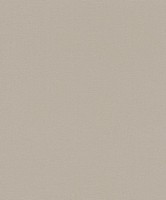 Rasch Home Vision Vii / Rasch 741353 / Vliestapete Uni Hellbraun / 2,25 €/Qm
