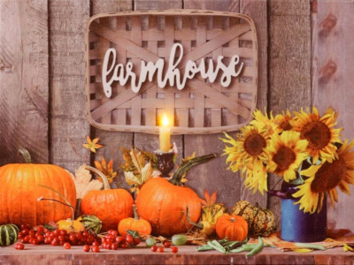 Audrey's, PUMPKINS & SUNFLOWERS, 16'' l x 12'' h, Led Canvas Print, New