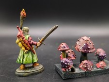 Well painted Ranger/Investigator/Bard with torch dnd fantasy miniature