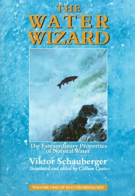 WATER WIZARD by Viktor Schauberger Paperback Self Help Business