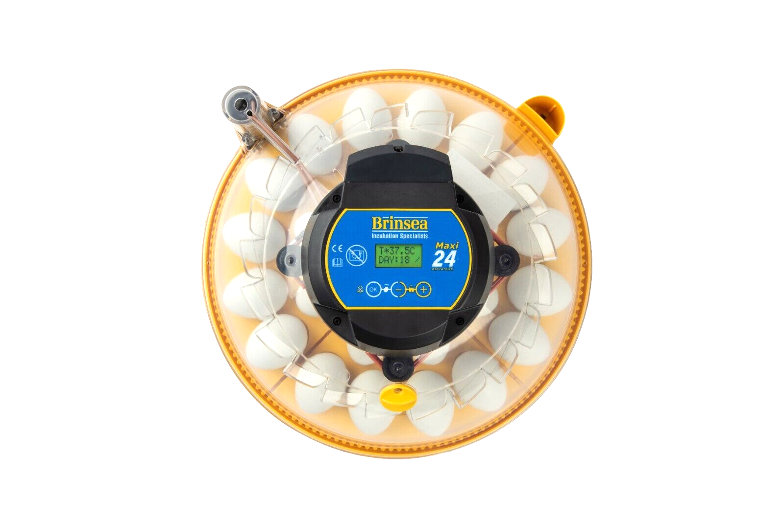 Brinsea Maxi 24 Advance Egg Incubator (24 EGGS) (Chickens, Ducks, Hatching)