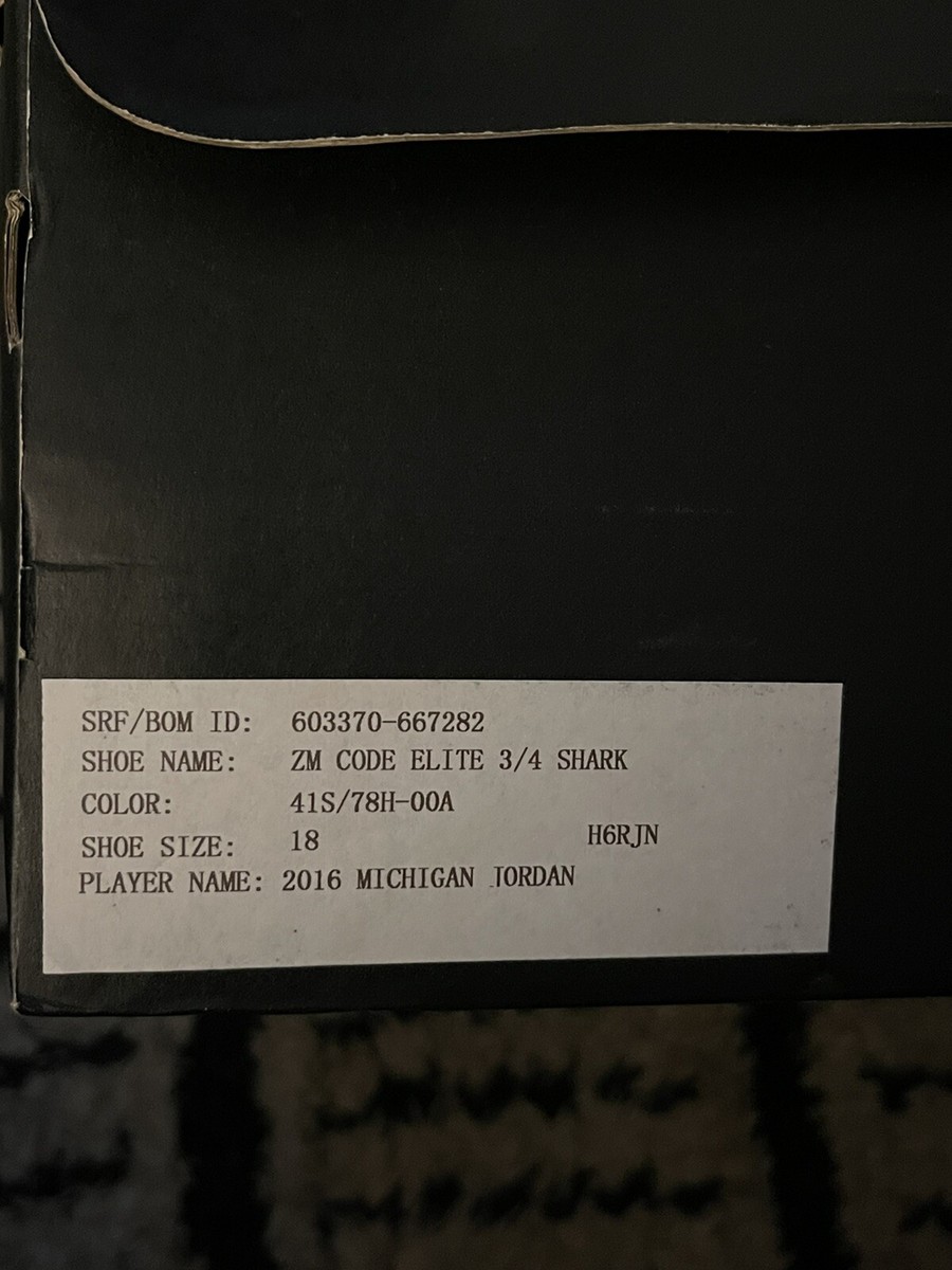 Size 18 Michigan PE Air Jordan Nike Zoom Code Elite 3/4  display picture 2