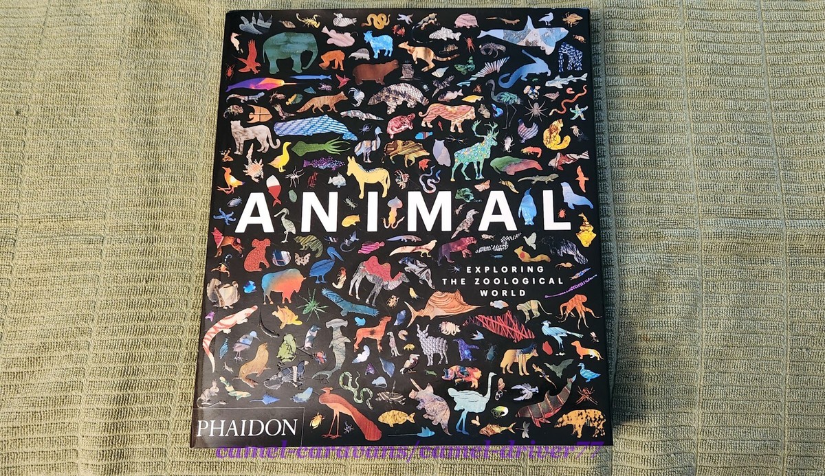 ANIMAL: Exploring The Zoological World HARDCOVER Phaidon Books