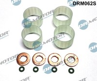 DRM062S Dr.Motor Automotive Dichtungssatz, EinspritzdüSe FüR CitroËN,Ds,Peugeot