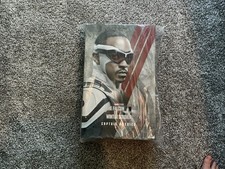 Hot Toys TMS040 Falcon Winter Soldier Captain America 1/6 Scale Figure