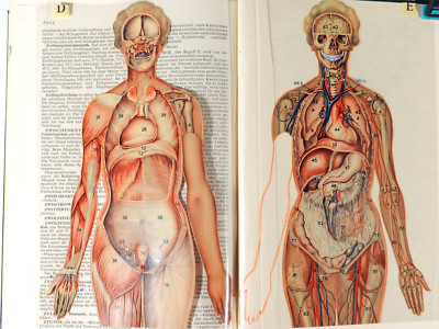 Der Gesundheits BROCKHAUS 1959 ° Praktische Heilkunde ° Erste Hilfe °°