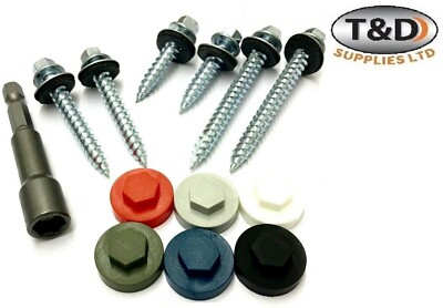 6,3 mm Sechskantkopf Metall Dach Tek Schrauben mit Dichtscheibe, Abdeckkappe & Antrieb Bit