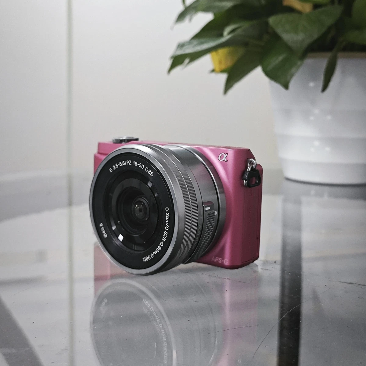 SONY Alpha NEX-3N 16.1MP 16-50mm F/3.5-5.6 PZ OSS Lens Mirrorless
