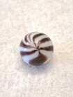 Peltier Purble Zebra Wet Mint 11/16 — photo 7