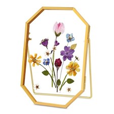 Glass Pressed Flower Frame Handmade, Octagon, 4x6 inches, Gold