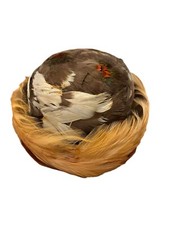 Millinery Women's Hat 1950's Wool w Feathers Sears Roebuck with Vintage Hat Box