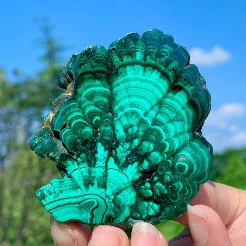79G Natural glossy Malachite transparent cluster rough mineral sample